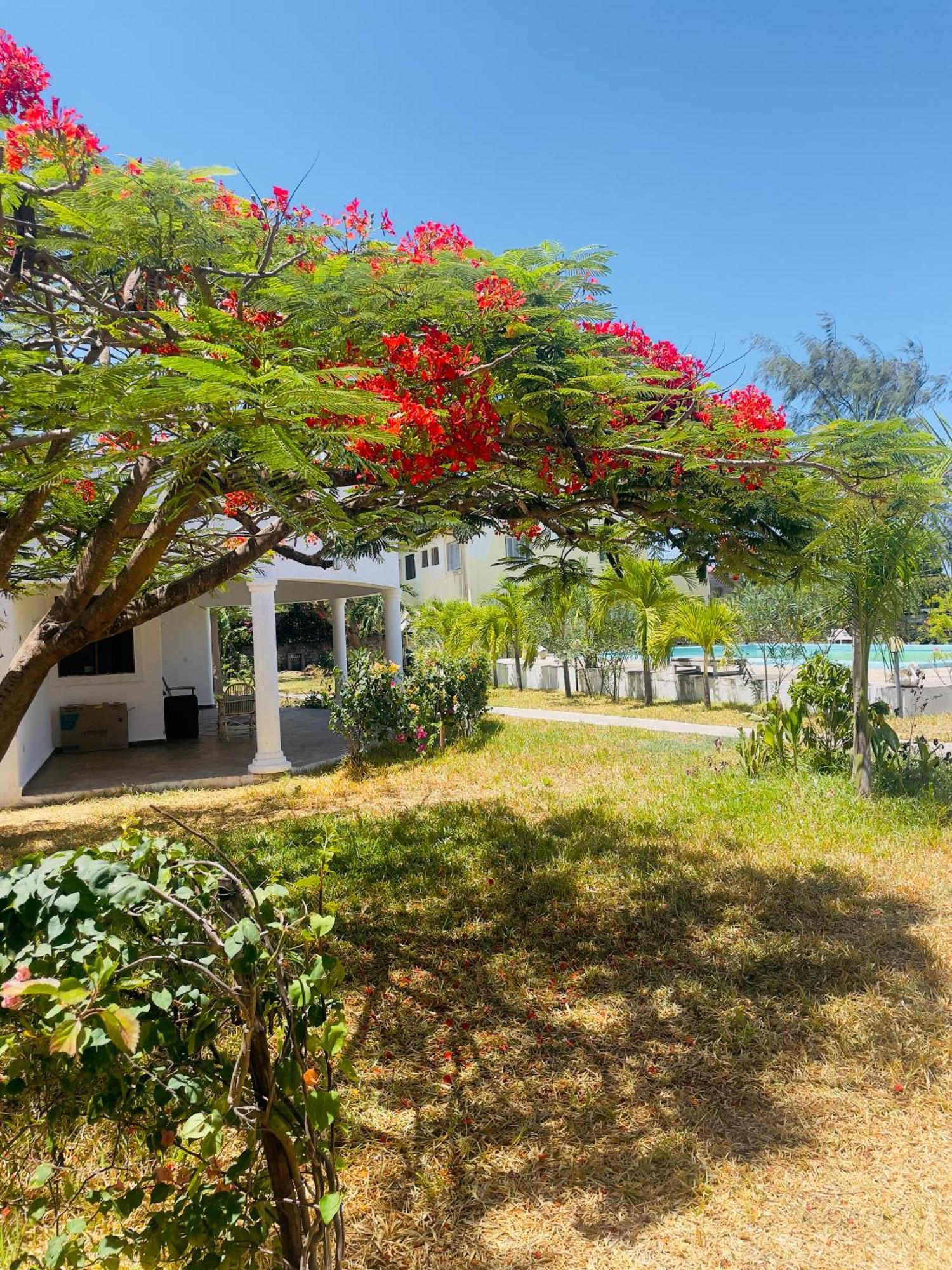 3 Bedroom White House Malindi Buitenkant foto